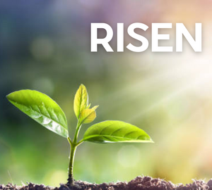 RISEN