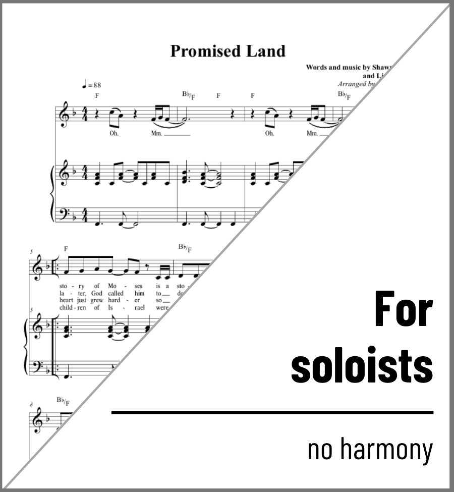 Promised Land (solo) - 2 copies
