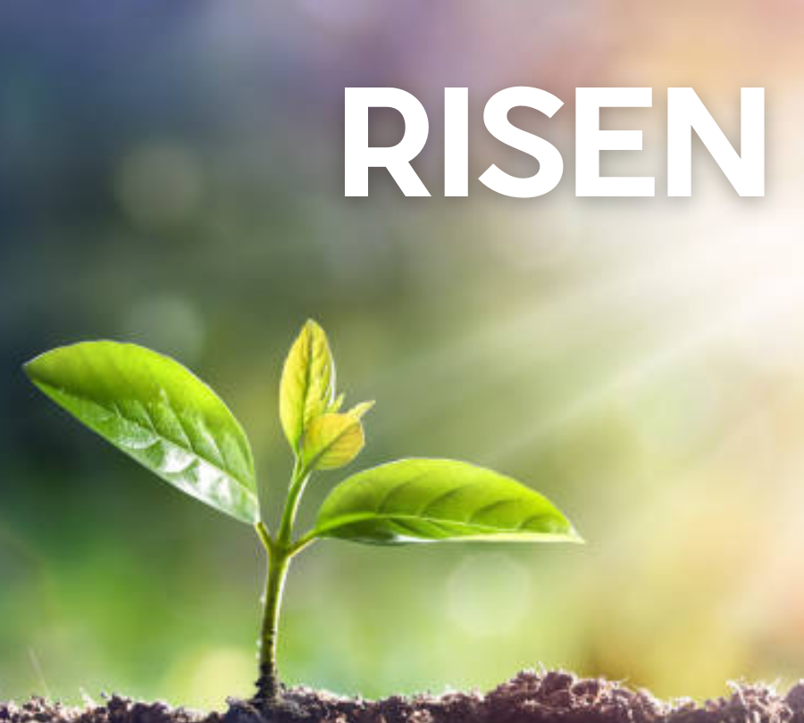 Risen - piano solo (Beginner)